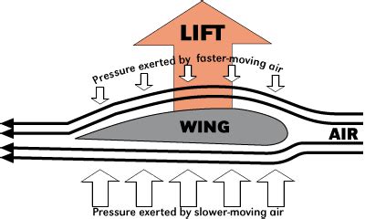 The Science of Flight: Exploring the Principles of Lift and Drag