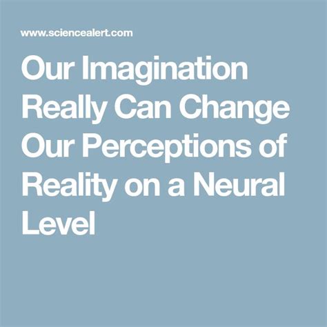 The Science of Imagination: Exploring the Influence on Perception