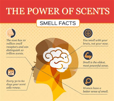 The Science of Olfaction: Deciphering the Link between Scents and Emotions