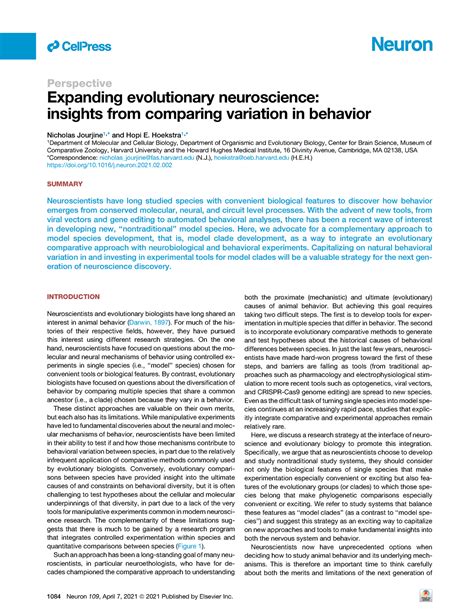 The Scientific Exploration of Shadow Pursuit in Dreams: Insights from Neuroscience and Evolutionary Biology