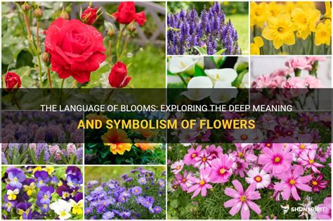 The Secret Language of Blooms: Unveiling the Symbolism behind Lively Flowers