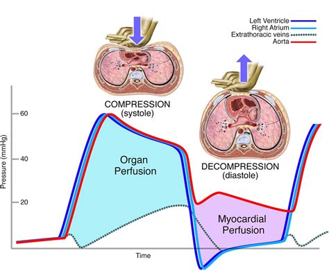 The Secret Science Behind the Resuscitation of Dreams: Revealing the Hidden Mechanisms