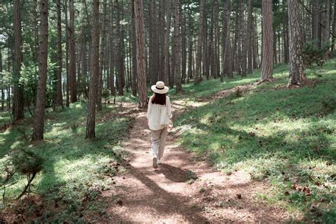 The Secrets Unveiled: Understanding the Science of Dreams About Walking