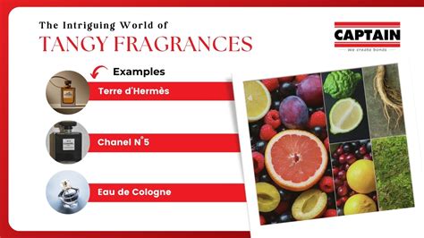 The Sensory Journey: Exploring the Impact of Tangy Fragrances on Our Subconscious Visions