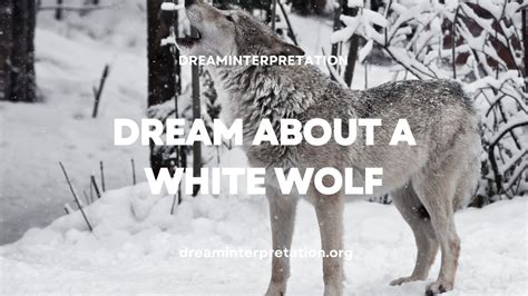 The Significance and Interpretation of Dreaming about a White Wolf Aggression