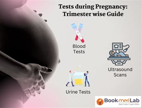 The Significance and Interpretation of Dreams Associated with Confirmatory Pregnancy Tests