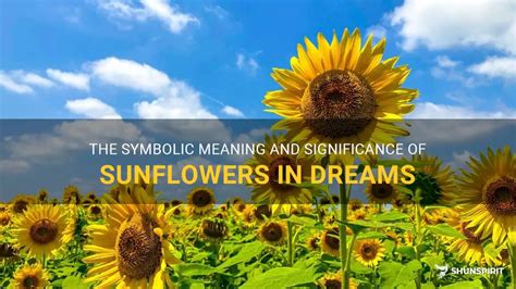 The Significance and Symbolic Interpretation of Sunflower-colored Insects in One's Dreams