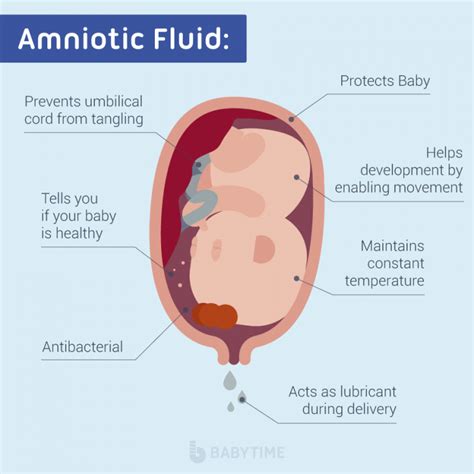 The Significance of Amniotic Fluid Release During Pregnancy