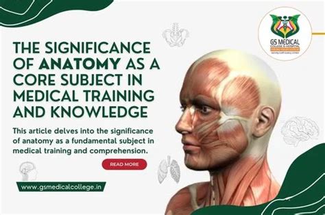 The Significance of Anatomy in Advancing Medical Knowledge: An In-Depth Exploration