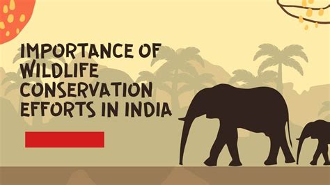 The Significance of Animal Conservation