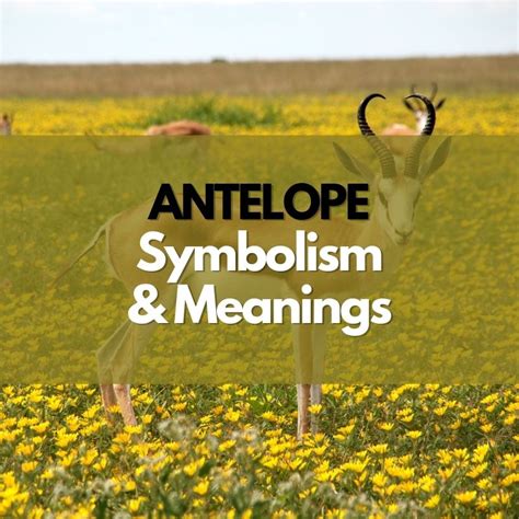 The Significance of Antelope Symbols: Reflecting Inner Fortitude