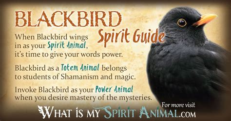 The Significance of Blackbird Plumage in Fantasies