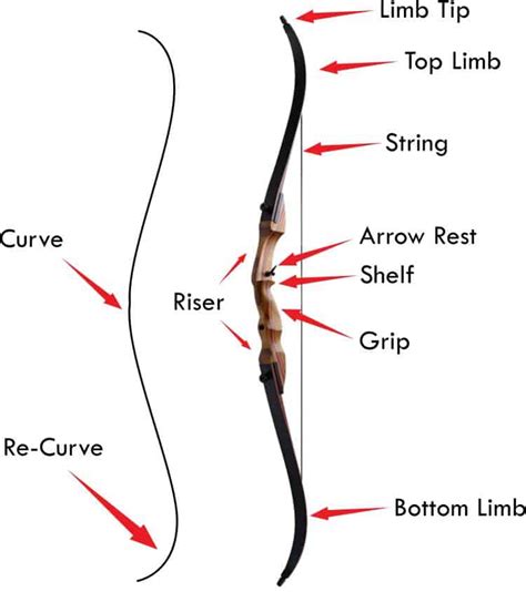 The Significance of Bows in Various Cultural Contexts