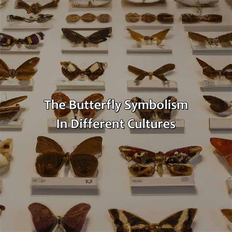 The Significance of Butterflies in Various Cultures and Mythologies