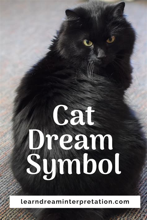 The Significance of Cat Dream in Personal Development and Metamorphosis