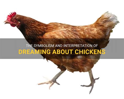 The Significance of Chicken in Dreams: Exploring Symbolism and Insights