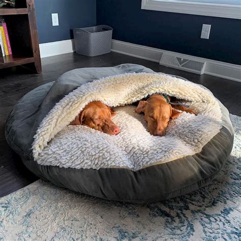 The Significance of Comfortable Bedding for Canines