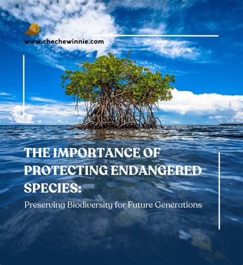 The Significance of Conservation in Preserving Endangered Wildlife