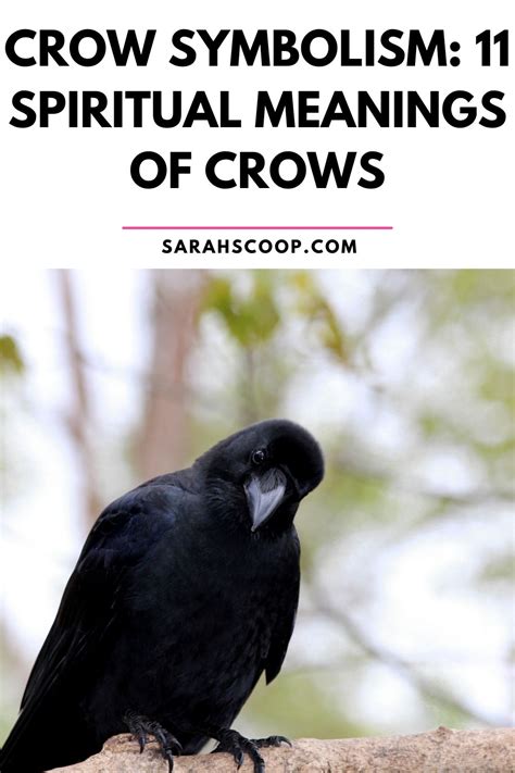 The Significance of Crows in Literature and Art