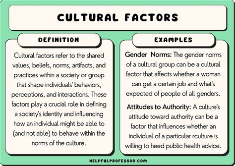 The Significance of Cultural and Social Factors