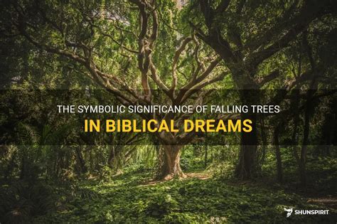 The Significance of Decaying Trees in Dreams