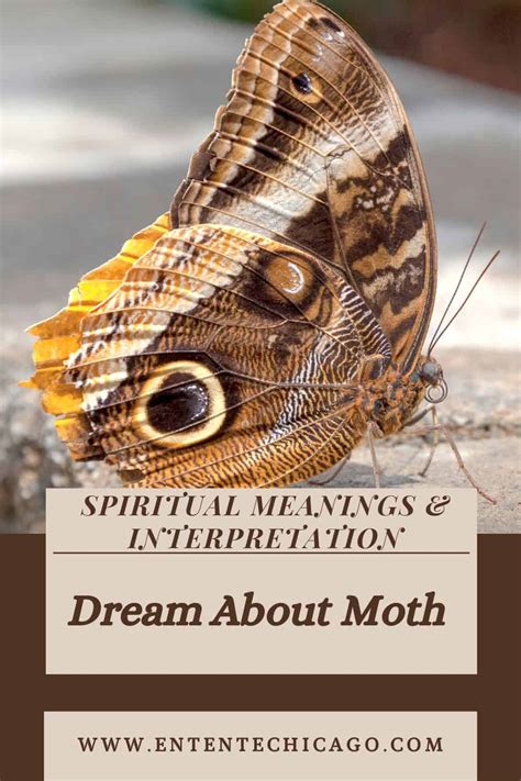 The Significance of Different Types of Moths in Dream Interpretation