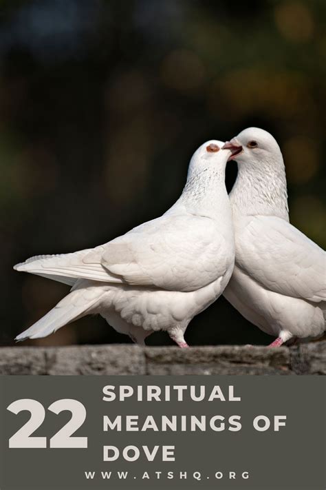 The Significance of Doves: A Spiritual Connection