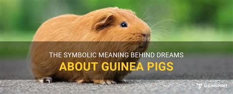 The Significance of Dream Analysis in Unraveling the Symbolic Meaning behind Guinea Pig Encounters