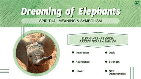 The Significance of Dreaming About Elephants on a Spiritual and Mysterious Level