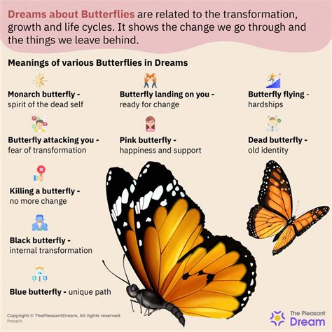 The Significance of Dreaming About Receiving a Butterfly