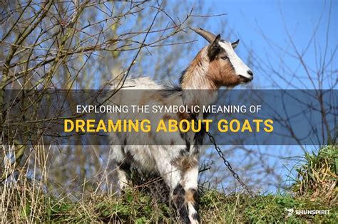 The Significance of Dreaming About Sacrificing a Goat