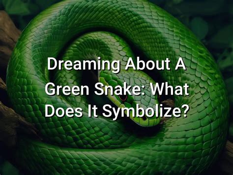 The Significance of Dreaming About a Snake Leaping: What Does It Symbolize?