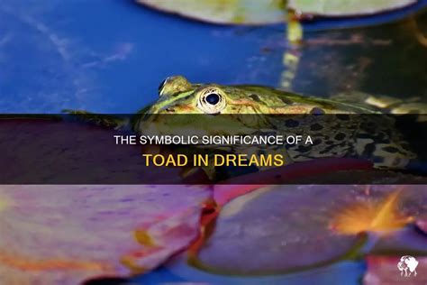 The Significance of Dreaming about a Crimson Toad: A Potent Communication or a Fortuitous Reverie?