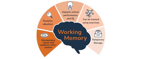 The Significance of Dreaming in Primate Cognitive Abilities: Insights into Memory and Learning