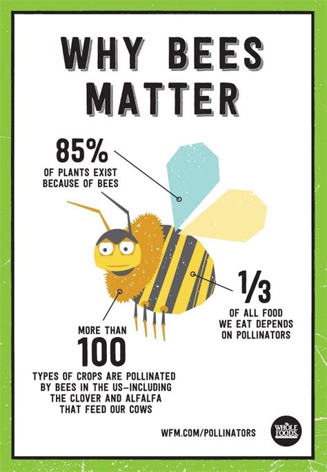 The Significance of Education and Awareness for Protecting Bees