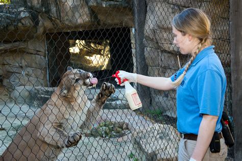 The Significance of Education and Training in Caring for Wildlife