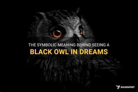 The Significance of Encountering a Mysterious Black Owl in Dreams