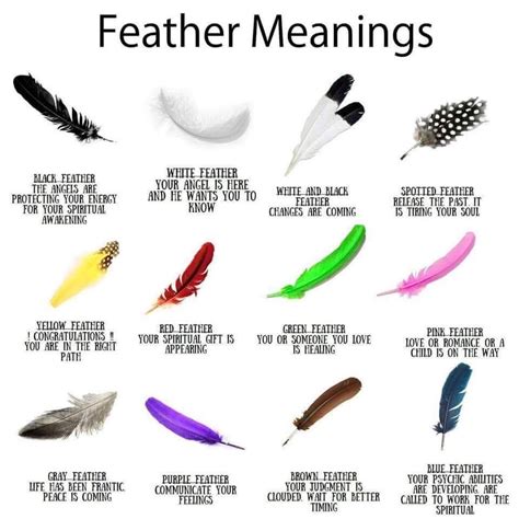 The Significance of Feathers in Dreams