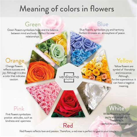 The Significance of Flower Hues: Unveiling the Symbolic Power of Color