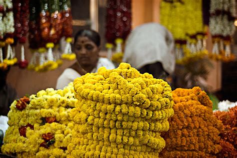 The Significance of Flowering Trees in Various Cultures