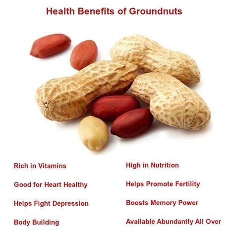 The Significance of Ground Nuts in Ayurvedic Medicine