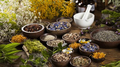 The Significance of Herbal Medicine in Ancient Methods of Healing