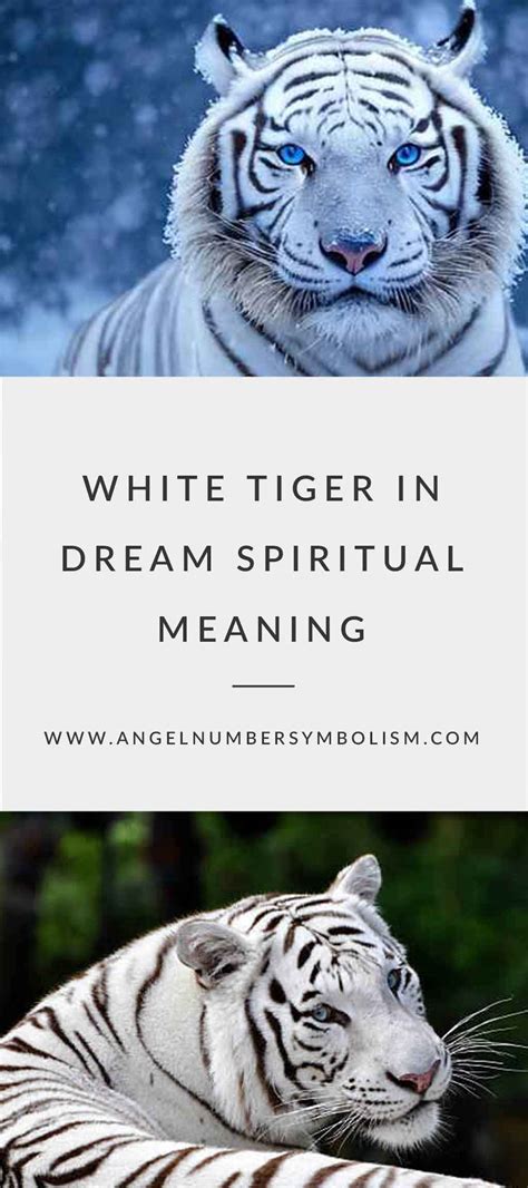 The Significance of Interacting with a White Tiger in Dreams