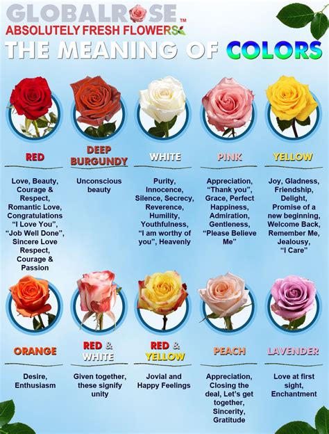 The Significance of Ivory-colored Blooms in Different Cultures