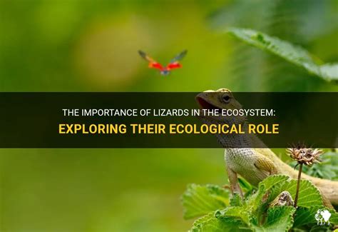 The Significance of Lizards in Ecosystems