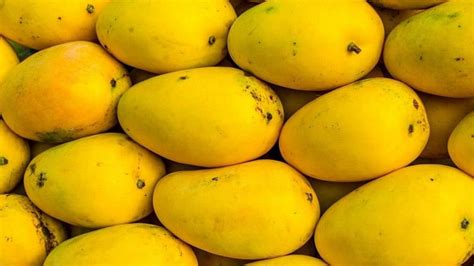 The Significance of Mango in Hindi Festivals