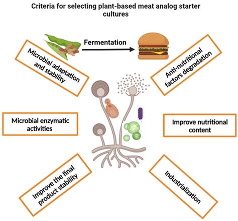 The Significance of Meat Preparation: Understanding the Contextual Aspects