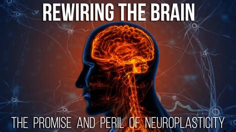 The Significance of Neuroplasticity: Rewiring the Mind for Achievement