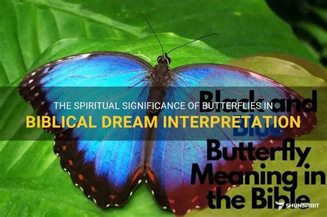 The Significance of Numerous Butterflies in Dreams