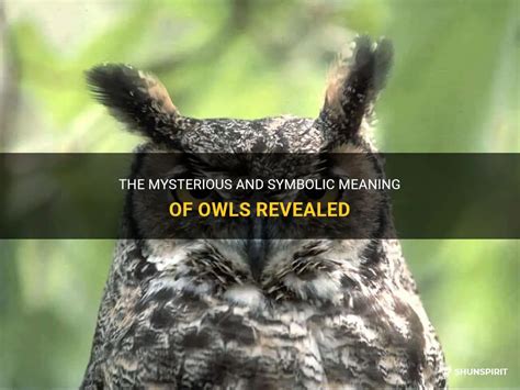 The Significance of Owl Pursuit: Symbolic Meaning and Interpretation